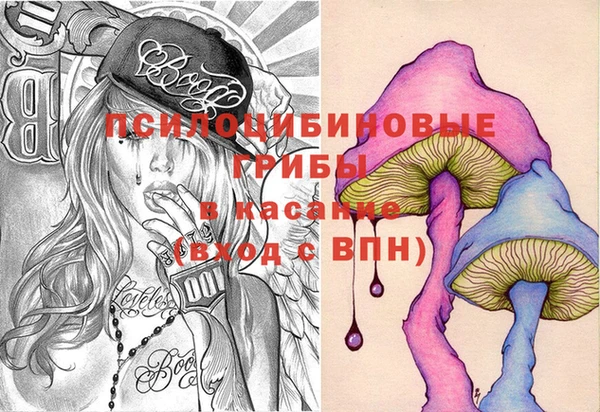 мдма Богородицк