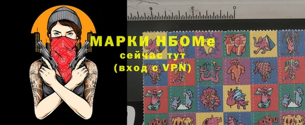 a pvp Бородино